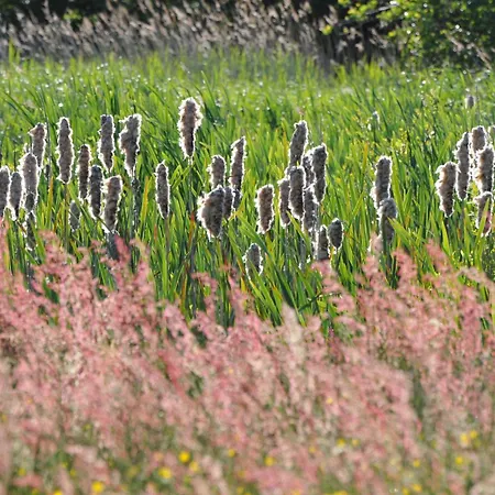 アパート Bei Der Kugelbake