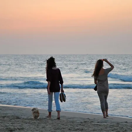 דירה Bei Der Kugelbake