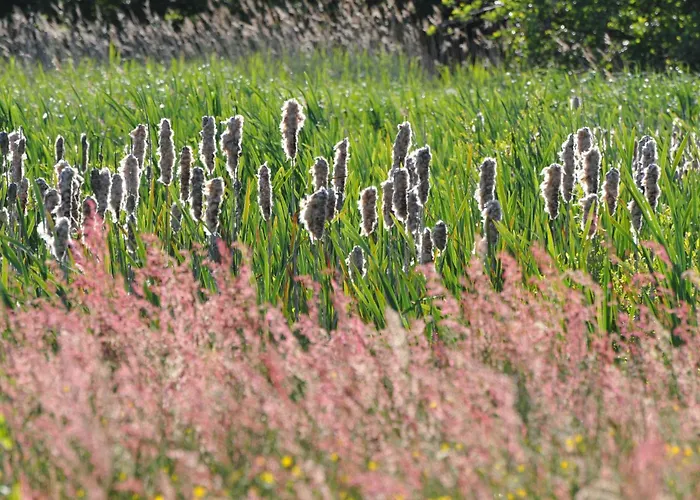 Apartamento Bei Der Kugelbake